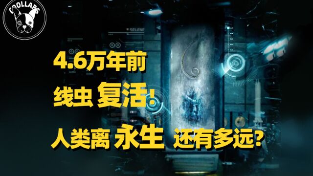 4.6万年前的线虫被复活!人类离“永生”还有多远?