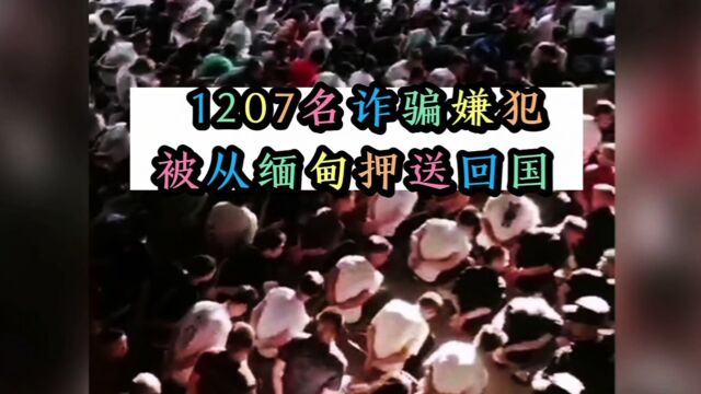 大快人心,1207名诈骗犯罪嫌疑人被从缅甸押送回国