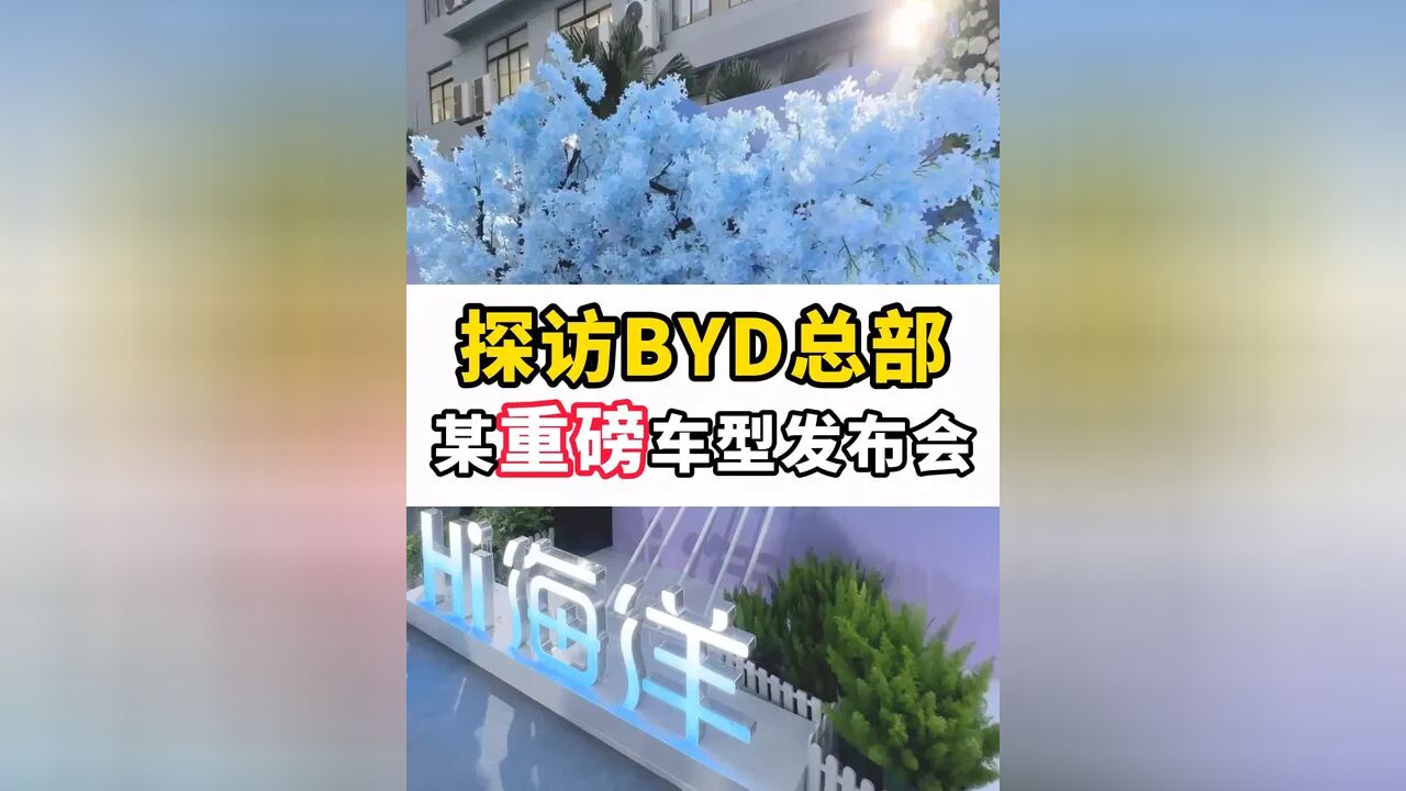 探访BYD总部某重磅车型发布会#比亚迪 #海豹dmi