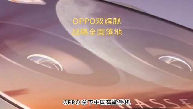 OPPO双旗舰 战略全面落地