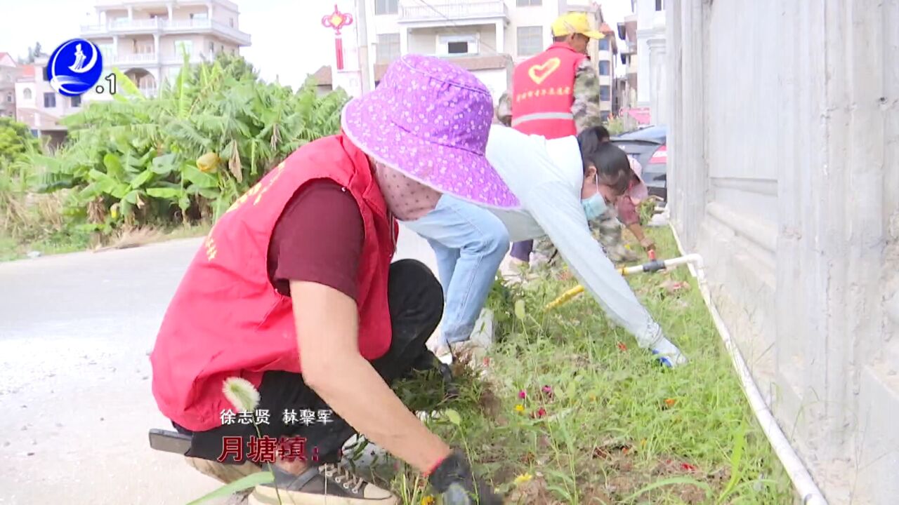 月塘镇:美化绿化房前屋后 提升乡村人居环境