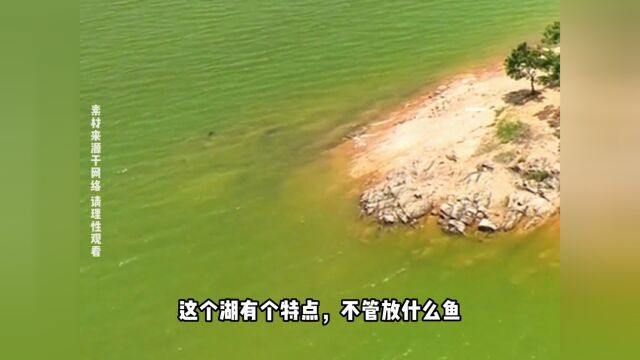 谁能拒绝蹲坑时看一集河南驻马店铜山湖水怪的故事