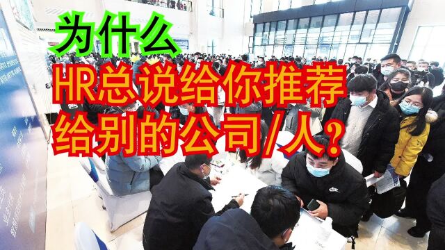 为什么面试的时候,老板或HR总说给你推荐到别的公司/人?