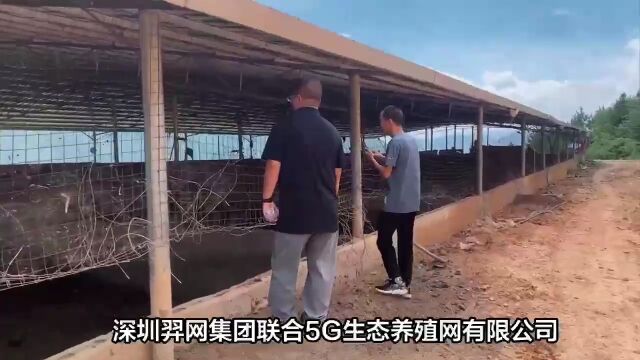 5G生态养殖网正式上线,火爆招商进行中