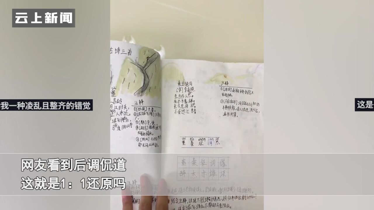 小学生抄课本达到“以假乱真”,插图配色都一样:这1:1还原?