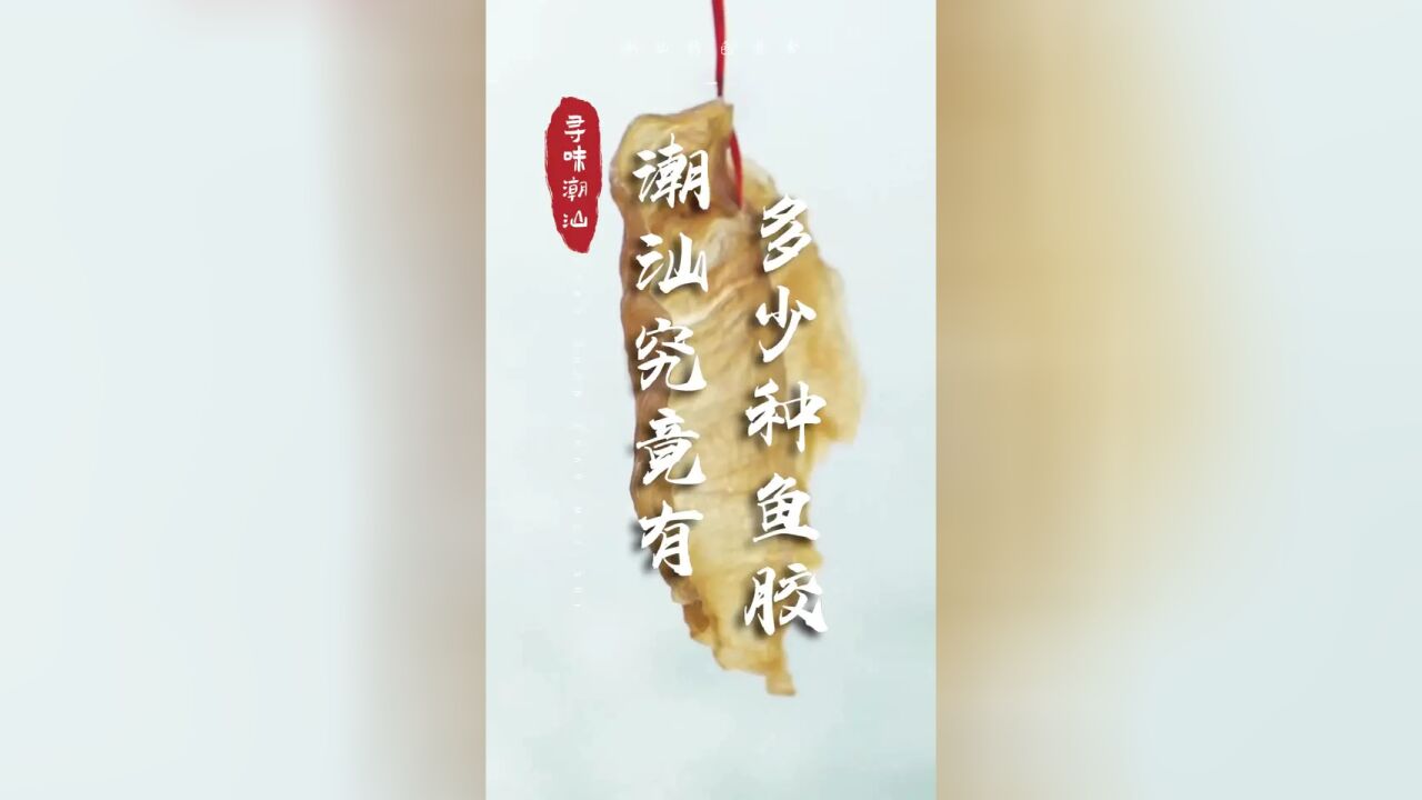 潮汕究竟有多少种鱼胶?这里有超多避雷小技巧|潮汕美食