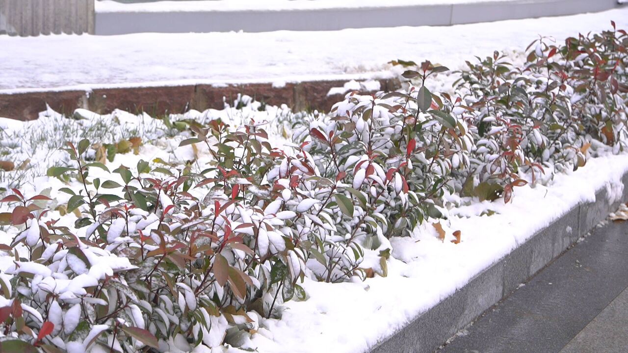 闪电气象吧|德州此轮降雪预计11日中午结束 1315日将迎新一轮降雪