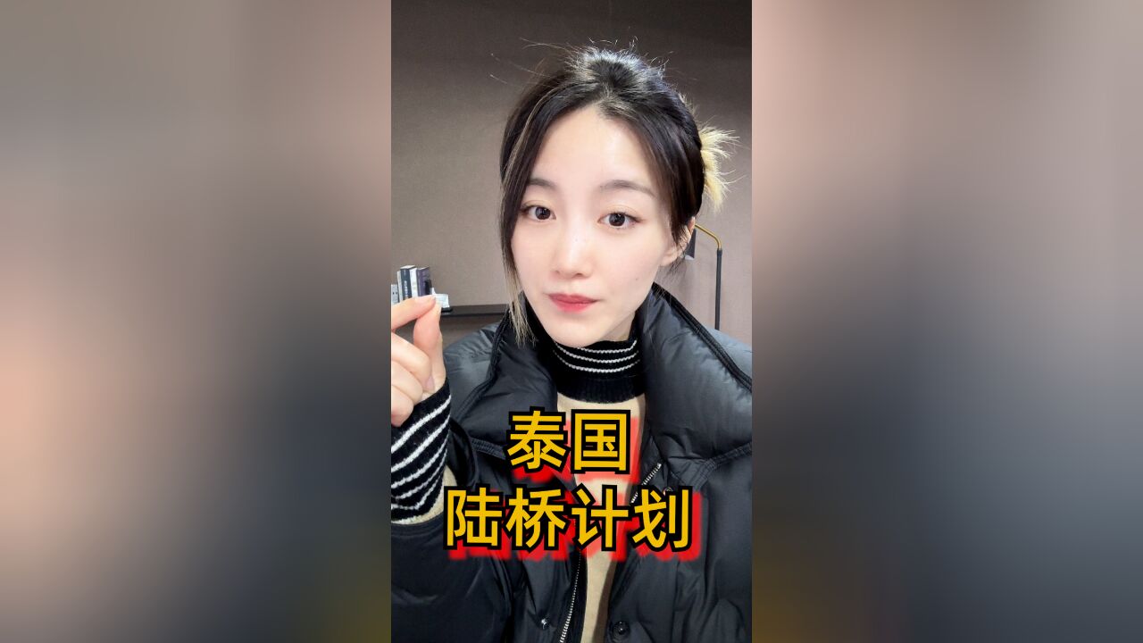 泰国推出“陆桥”计划,谁会成为最大受益者?