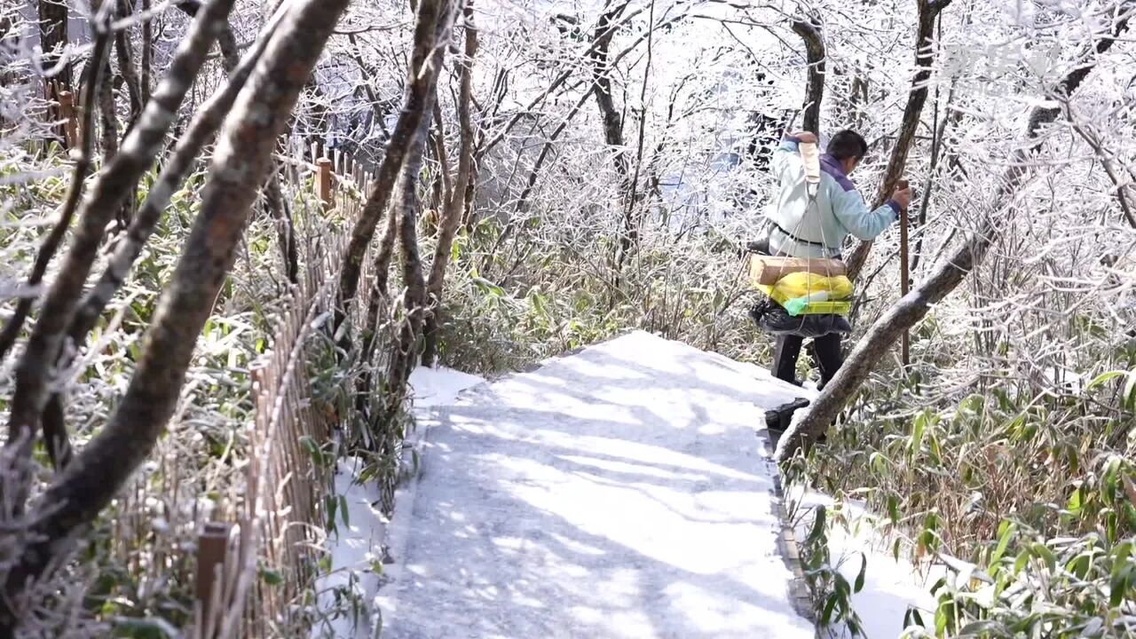 微纪录片|寒冷的黄山 温暖的你