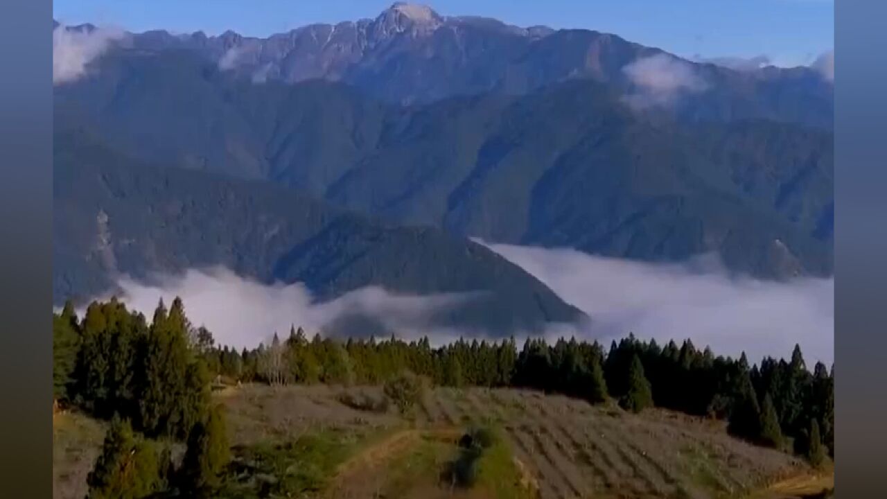 宜兰太平山下雪,吸引民众上山赏雪