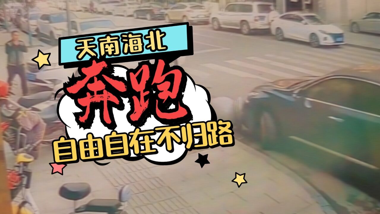 我姓石,大马路上犹如骏马在奔驰