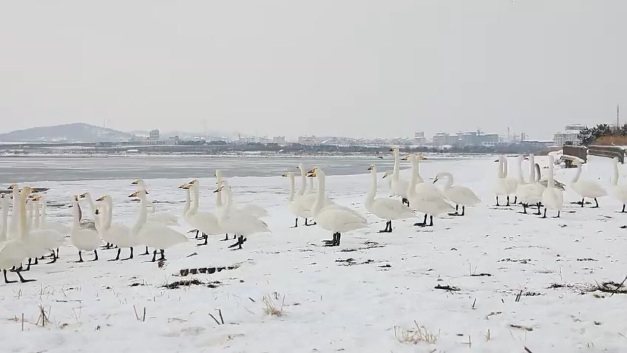 生态威海:警民联手守护美景