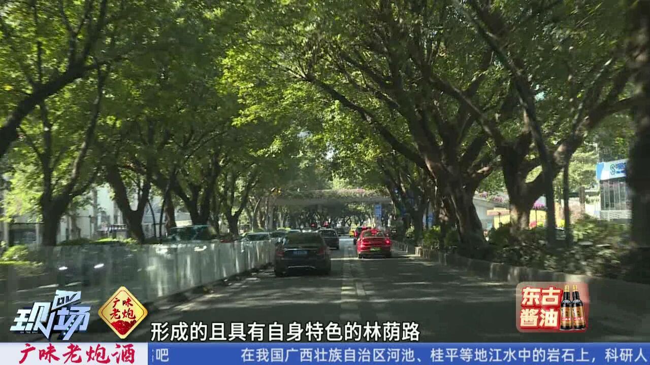 广州首批特色风貌林荫路公布, 20条道路”上榜