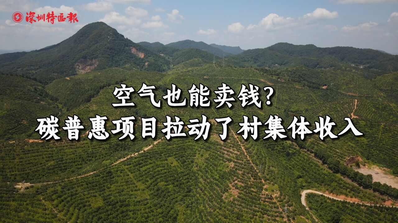 深河携手 振兴乡村丨空气也能卖钱?碳普惠项目拉动了村集体经济