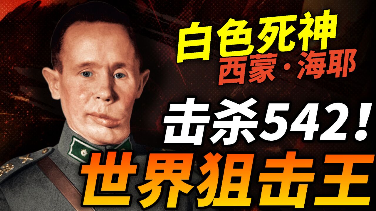 世界狙击手巅峰!苏芬战争狙杀542的世界狙击之王:西蒙ⷮŠ海耶!