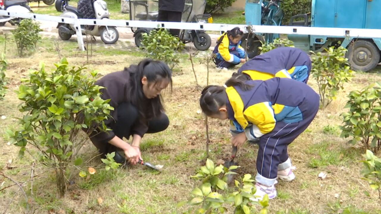 建设绿美庐阳 争做追“锋”少年