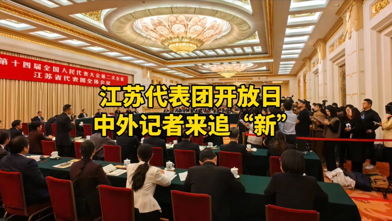 江苏代表团开放日,中外记者来追“新”