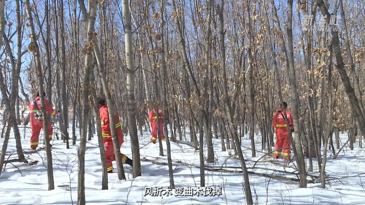 内蒙古莫旗:莫等冰雪消 植绿值春早