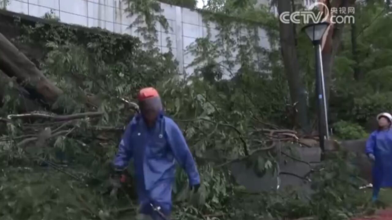 福建三明:遭遇大风冰雹强对流天气,多部门积极应对