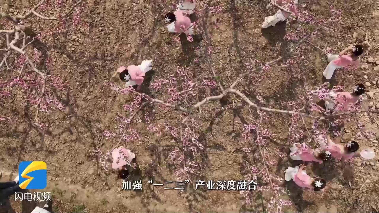 春游齐鲁|无棣:共赏春天之美 同赴“桃花之约”