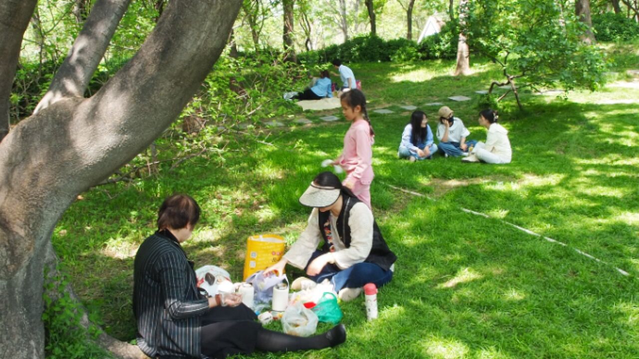 果然视频|气温如夏春色好,济南市民在公园树荫下喝茶野餐享春光