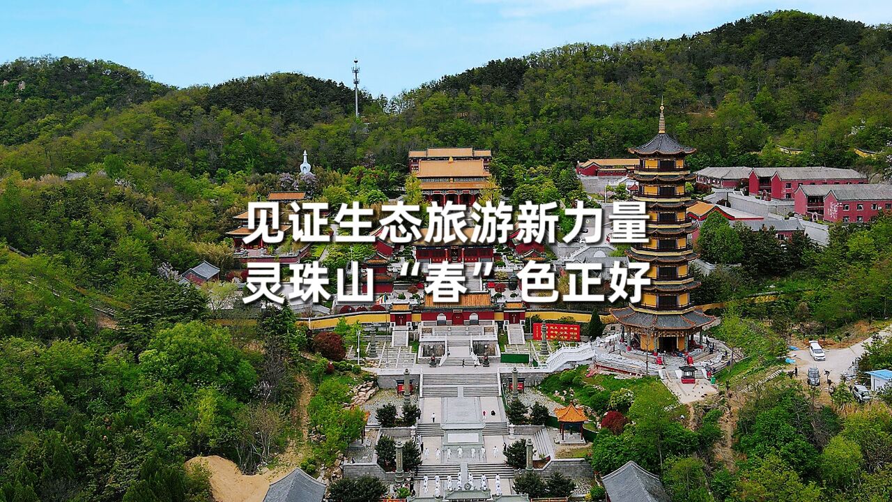 灵珠山“春”色正好!见证青岛ⷨ灨Š生态旅游新力量