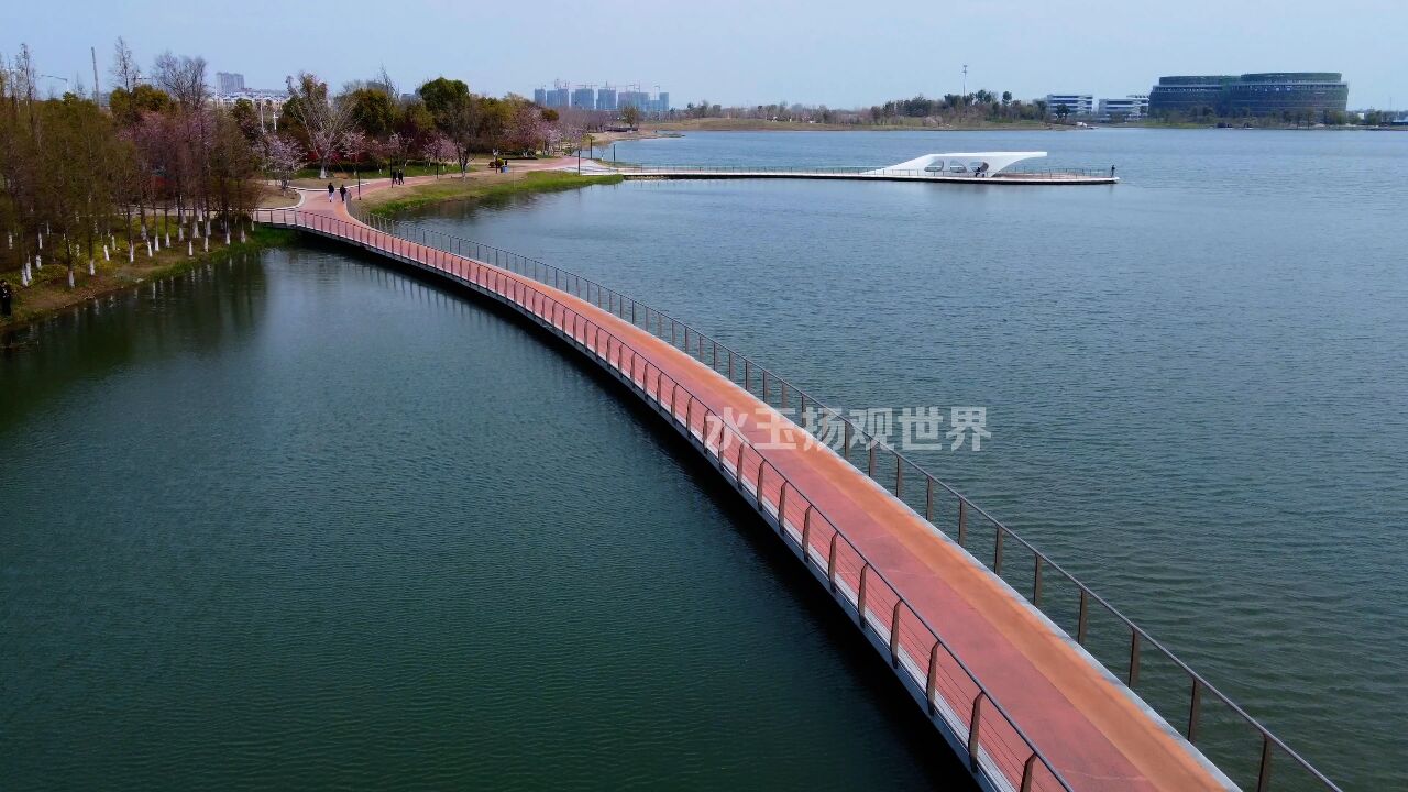 航拍泰州中国医药城网红天禄湖,原来它的名字取自市区的老巷子