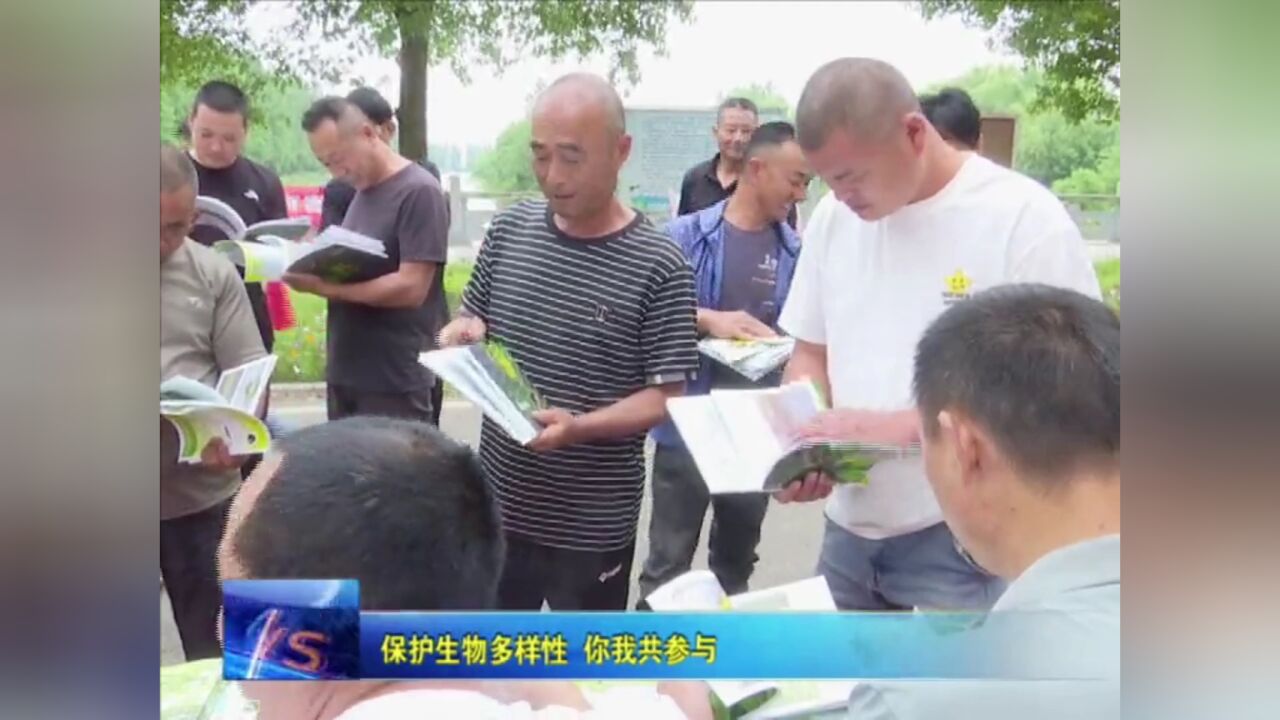 保护生物多样性 你我共参与