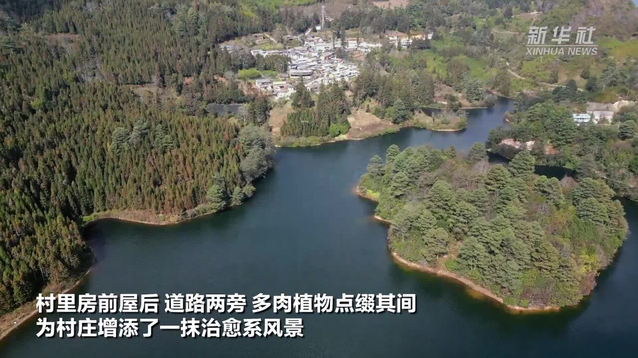 四季旅行ⷥ…‰影云南|云南个旧:碧水漾涟漪 绿树绕村庄