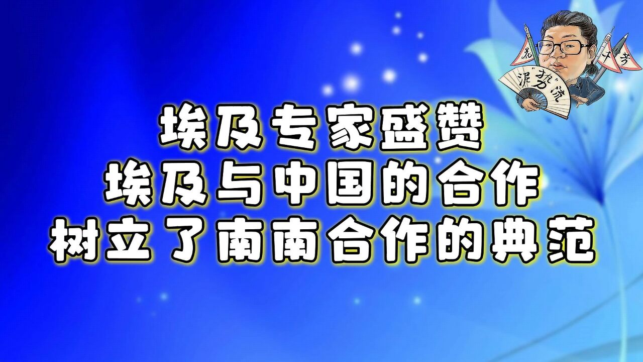 花千芳:埃及专家盛赞埃及与中国的合作,树立了南南合作的典范