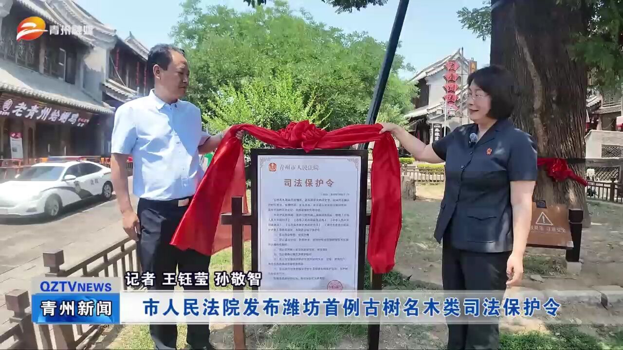 青州市人民法院发布潍坊首例古树名木类司法保护令