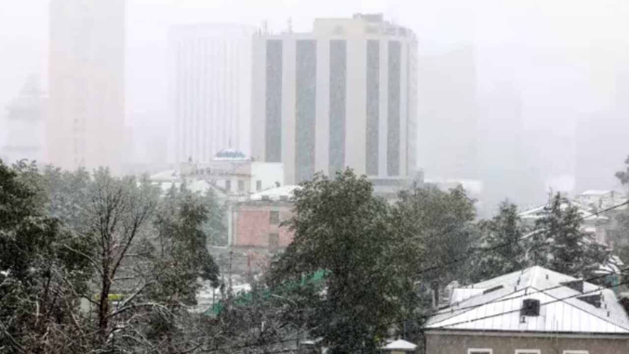 六月飞雪!蒙古国夏至日现罕见降雪天气