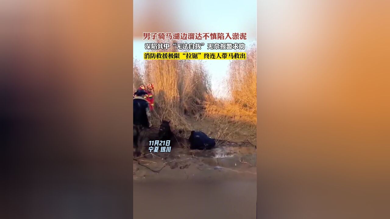 男子骑马湖边溜达不慎陷入淤泥潭,深陷其中“无法自拔”只得报警求助