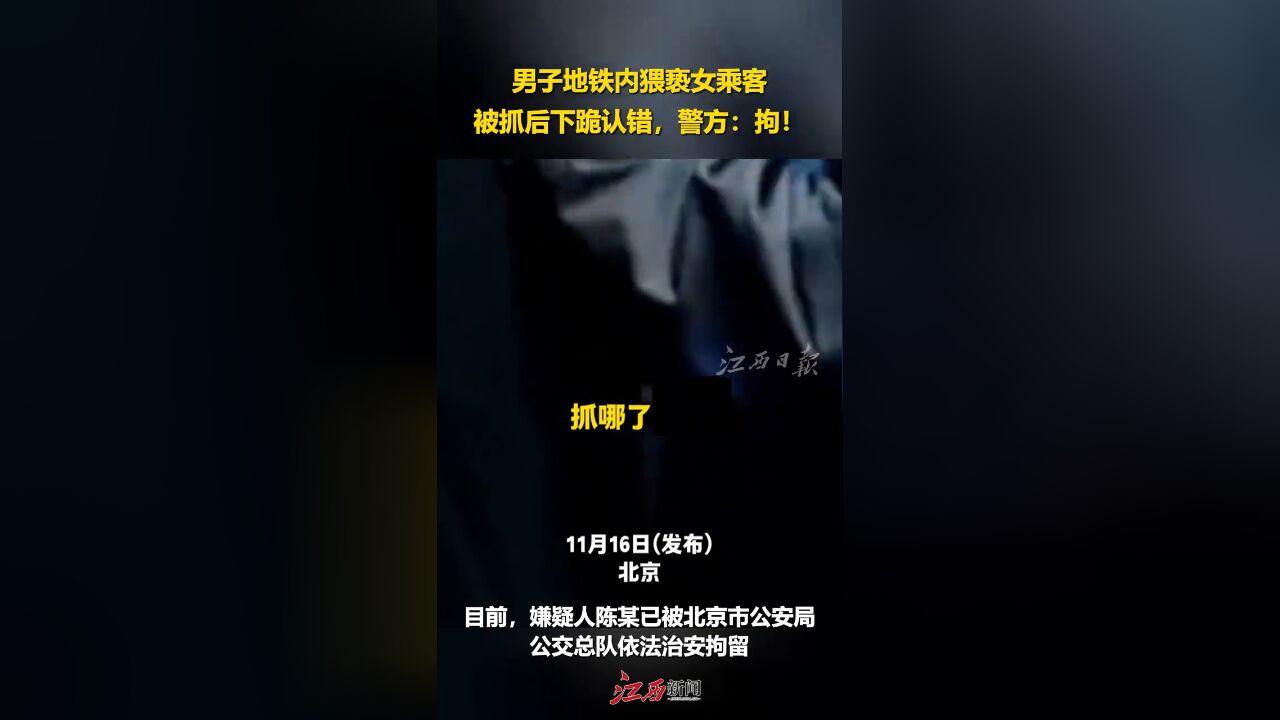 男子地铁内猥亵女乘客,被抓后下跪认错,警方:拘!