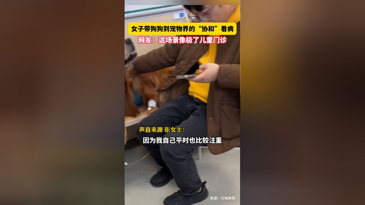 女子带狗狗到宠物界的“协和”看病,网友:这场景像极了儿童门诊