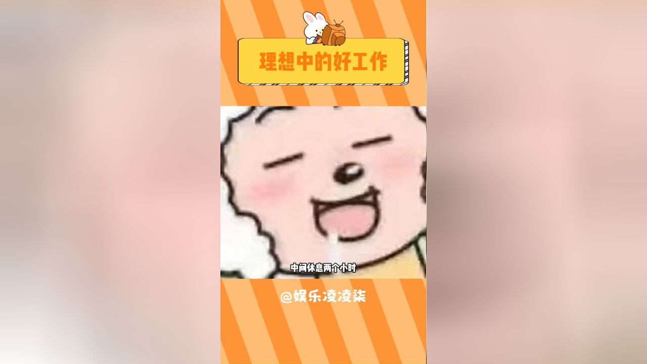 这才是我理想中的工作