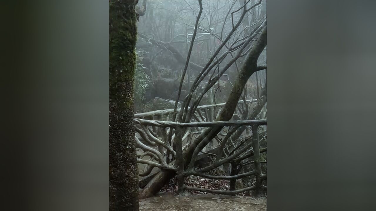 张家界天门山入冬后第一场雪来了!比去年提前了20天左右