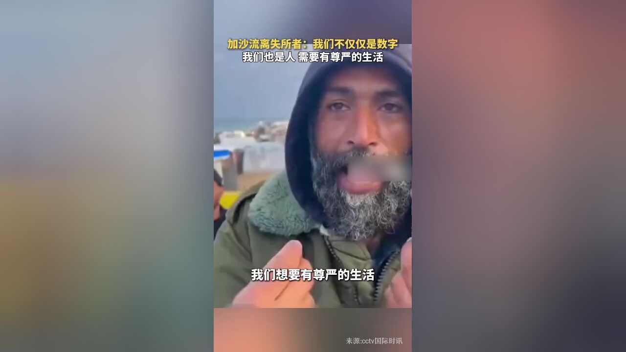 加沙流离失所者:我们不仅仅是数字,我们也是人,需要有尊严的生活