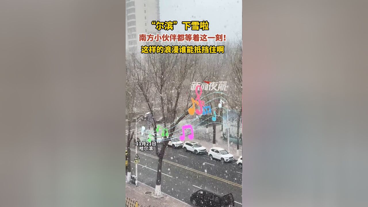 “尔滨”终于下雪了!南方小伙伴都等着这一刻!