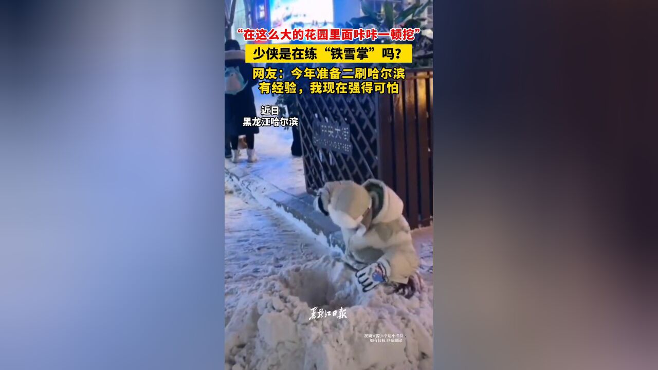 “在这么大的花园里面咔咔一顿挖” 少侠是在练“铁雪掌”吗?