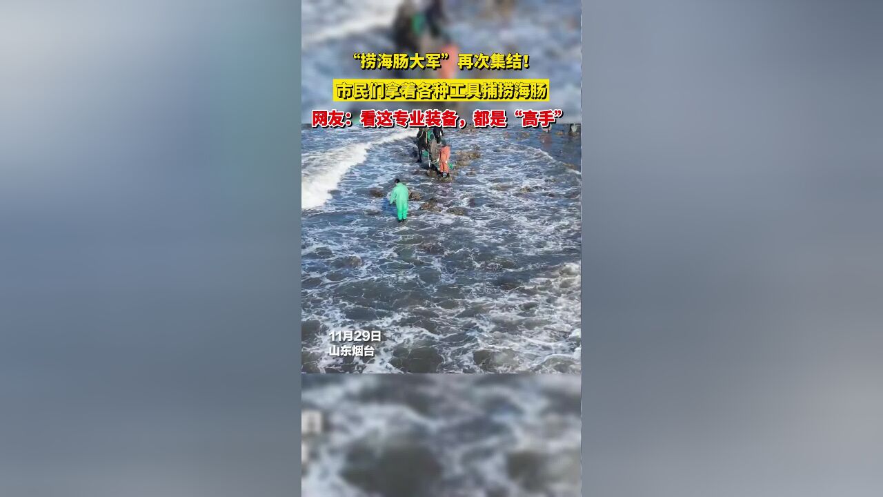 “捞海肠大军”再次集结!市民们拿着各种工具捕捞海肠