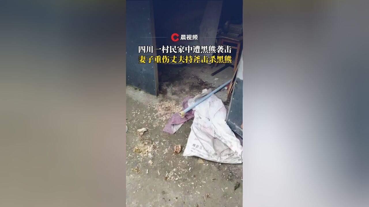 妻子遭黑熊袭击,丈夫锤子斧子齐上击杀黑熊