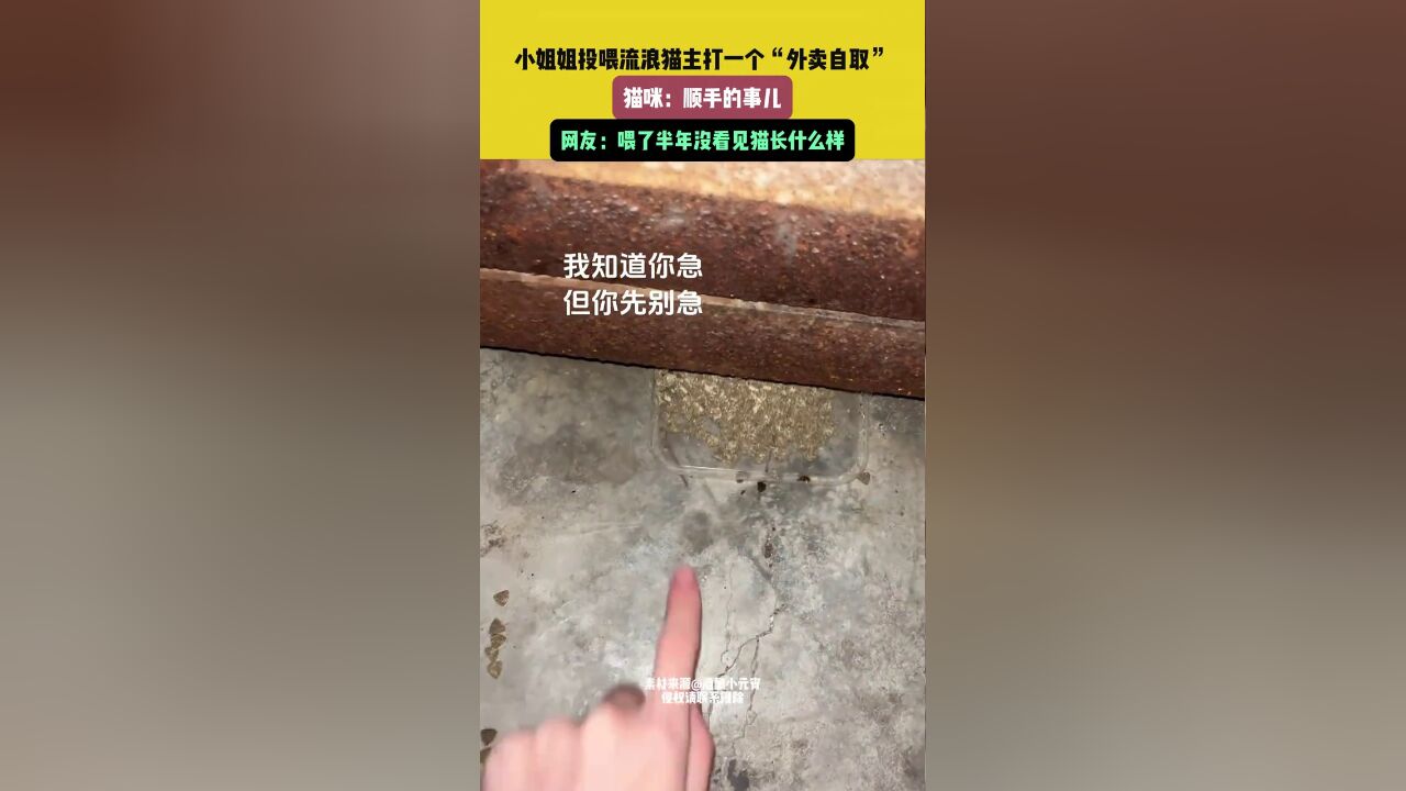 小姐姐投喂流浪猫主打一个“外卖自取”,网友:喂了半年没看见猫长什么样