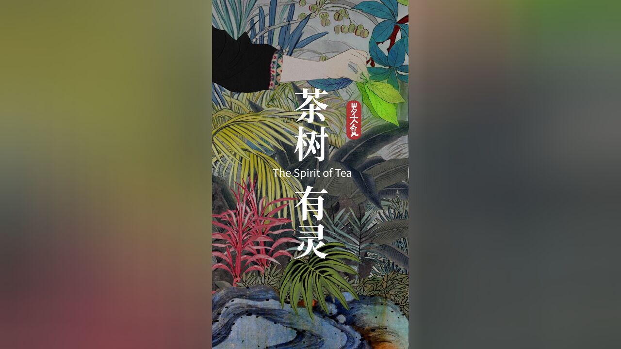 茶树有灵,自然有灵,景迈有灵