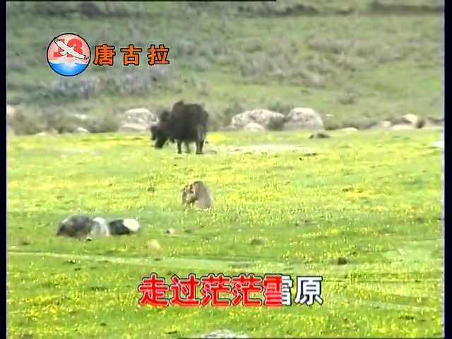 德乾旺姆《向着太阳(ktv版)_腾讯视频