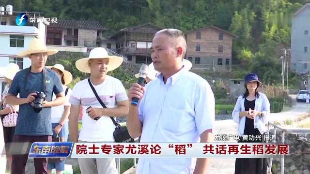 院士专家尤溪论“稻”共话再生稻发展