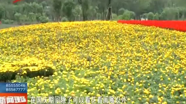 成都又添“网红打卡地”——天府芙蓉园 芙蓉花节即将拉开帷幕 国庆好去处