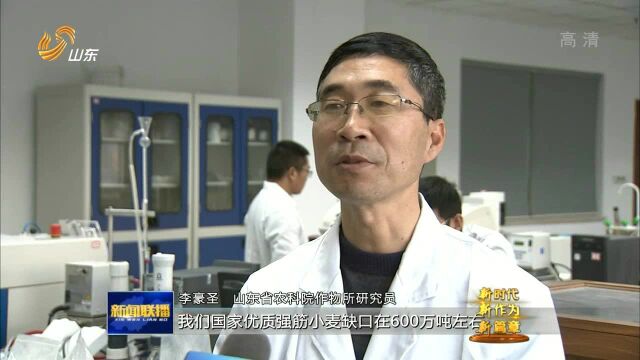 山东省农科院:用科技点燃现代农业发展引擎