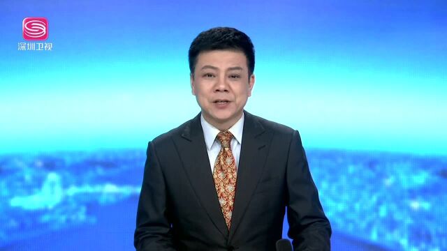 粤港澳大湾区建设领导小组办公室负责人发表谈话 以钉钉子精神抓紧抓实做好各项任务