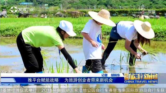 旅游平台赋能小微企业和个人创业